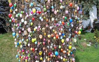 Österliche Pracht „Am Hohen Baum“: Die Flosserin Christina Kreuzer setzte auch heuer eine über 20-jährige Tradition fort und schmückte den Haselnuss-Strauch in ihrem Garten mit mehreren hundert Ostereiern.